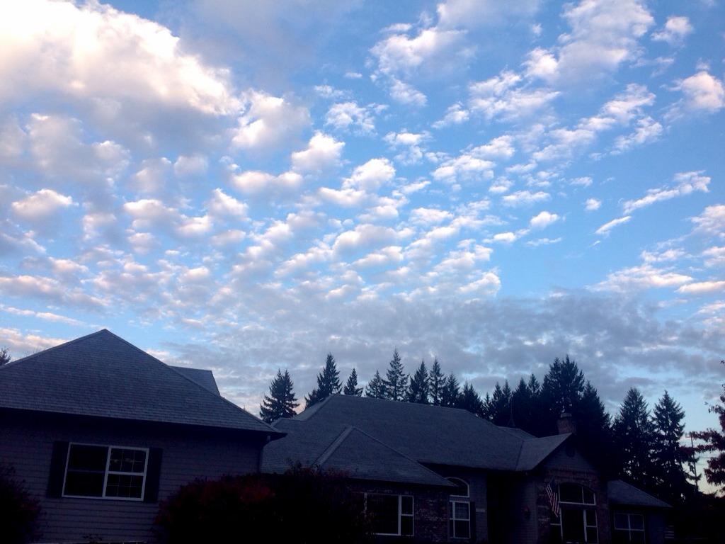 This Is A Test To See If It Will Work 