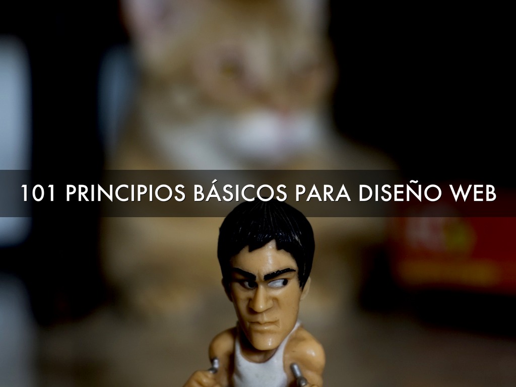 101 Principios Básicos Para Web