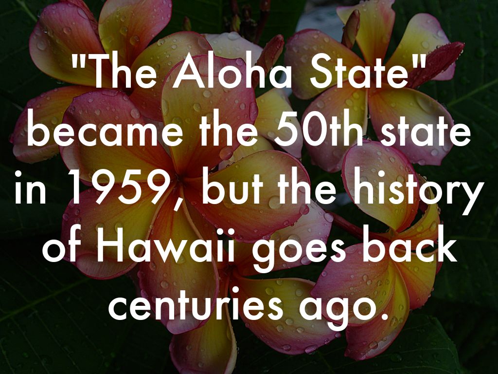 Most Awesome Place On Earth by sjmccarthy59