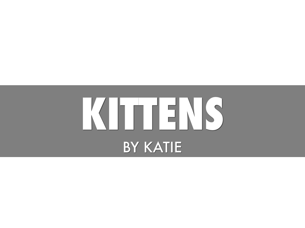 Kittens