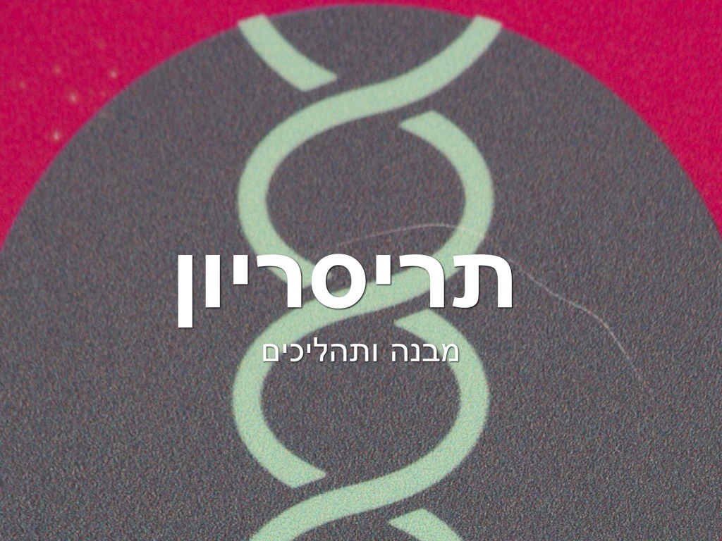 תריסריון