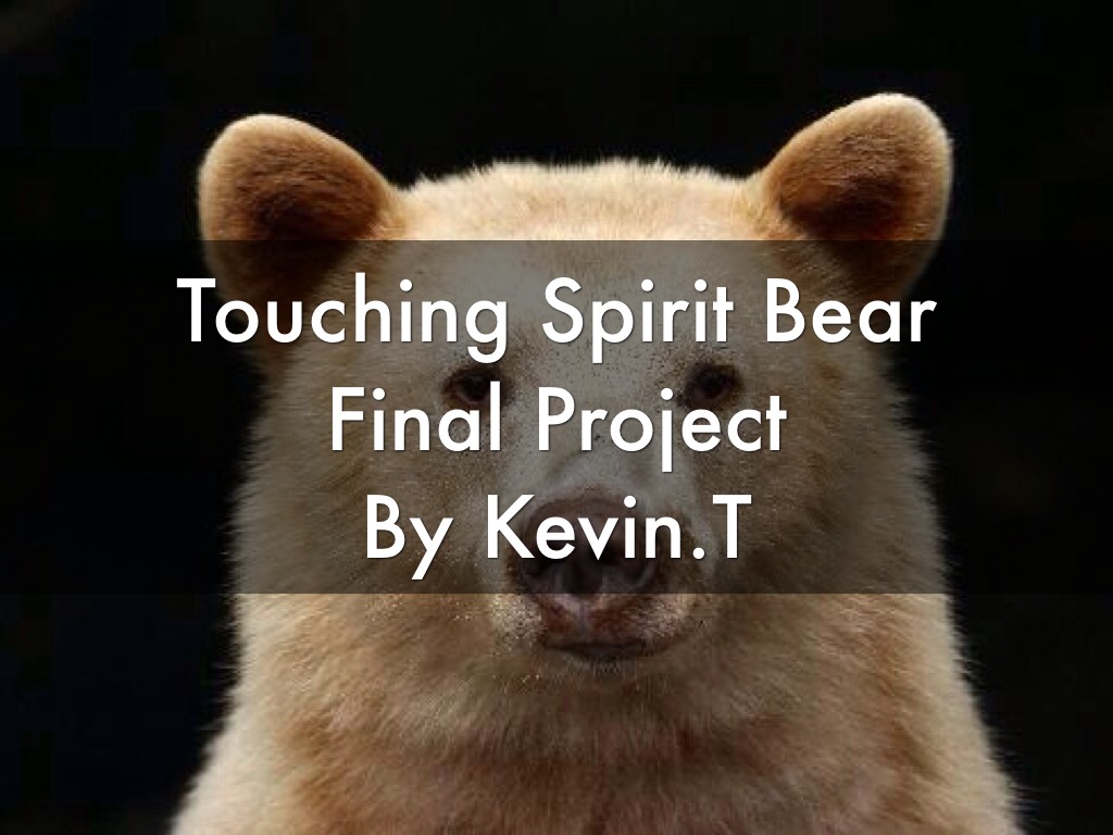 Touching Spirit Bear 