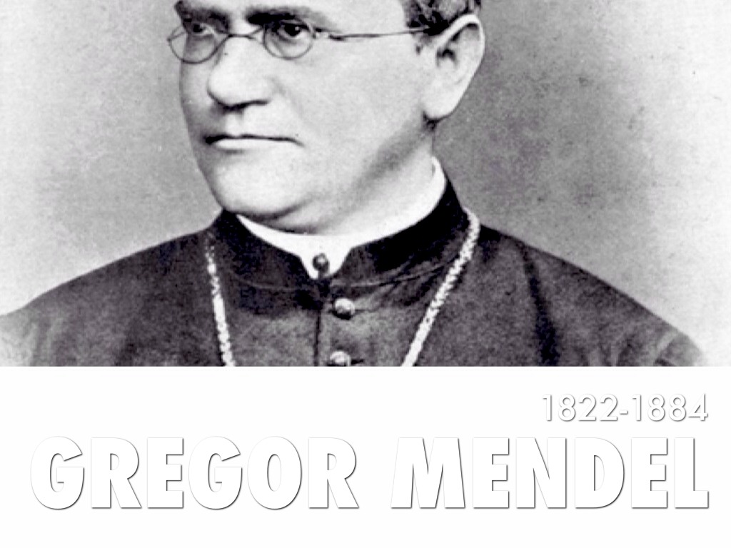 Gregor Mendel