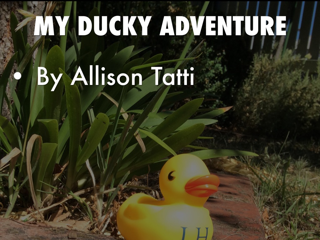 Duck Adventure