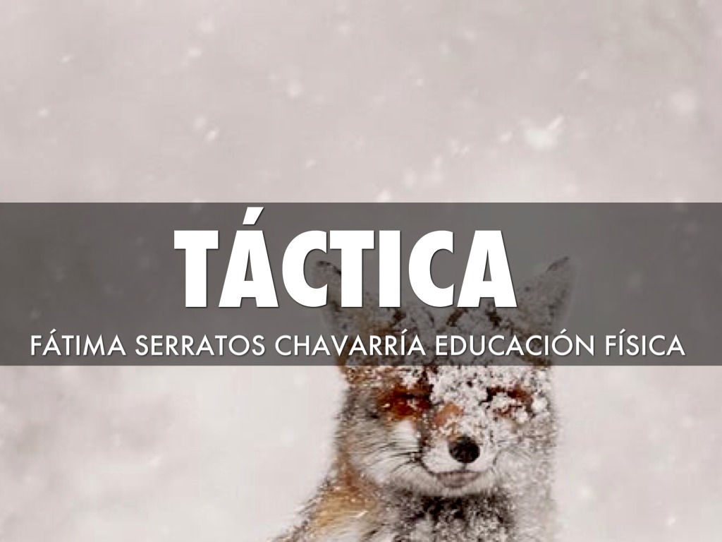Táctica 
