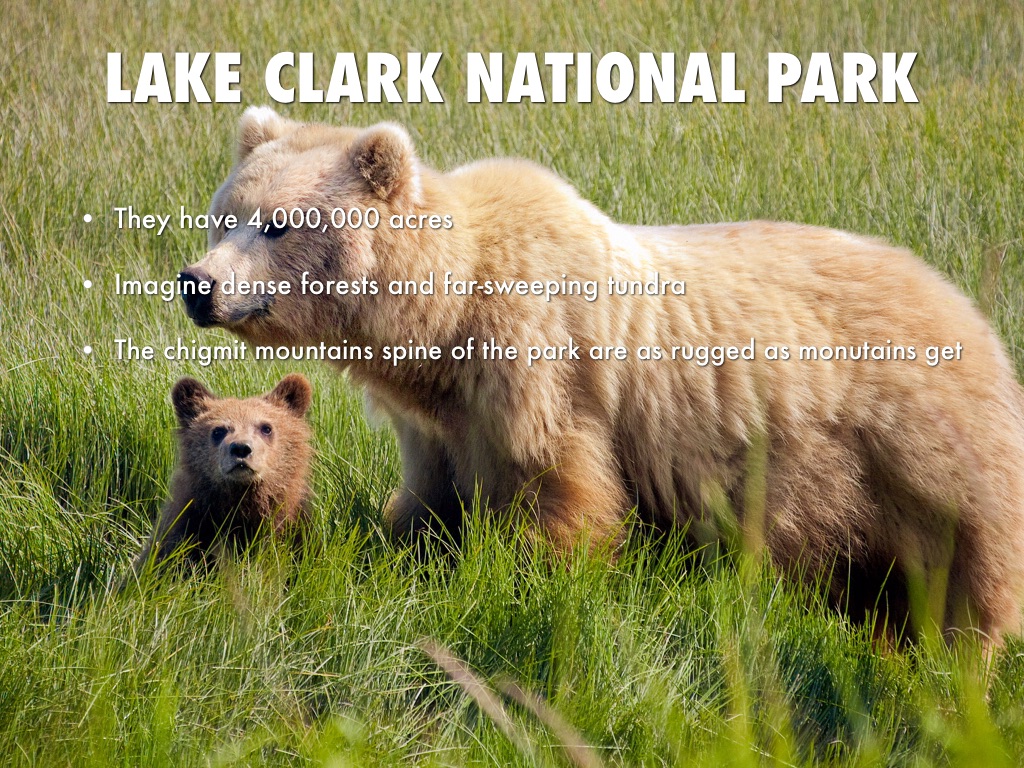 Lake Clark National Park