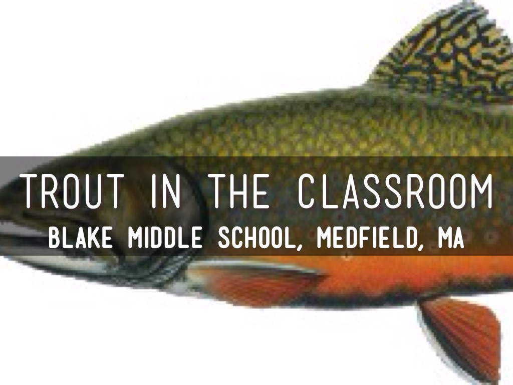 Trout In The Classroom by Judy Silva