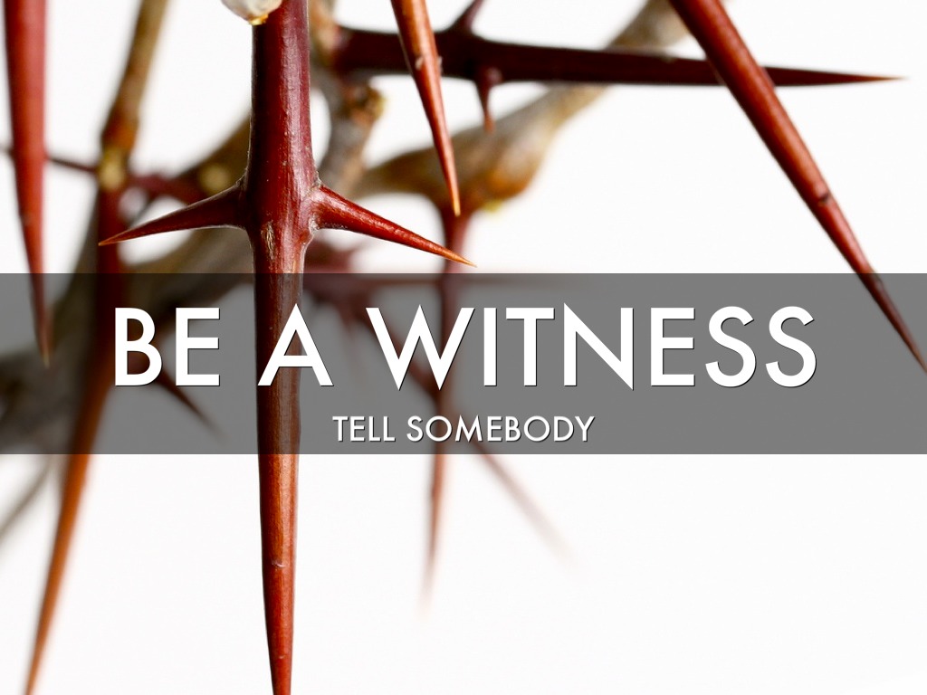 Purpose as a Minister