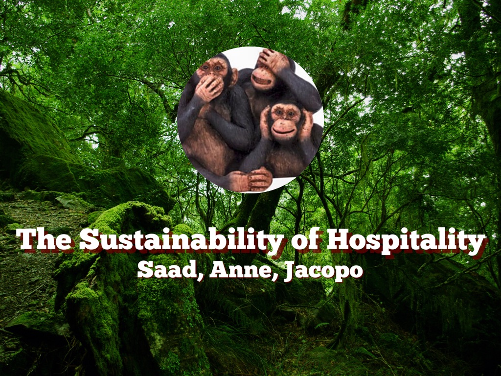 The Sustainability Of Hospitality