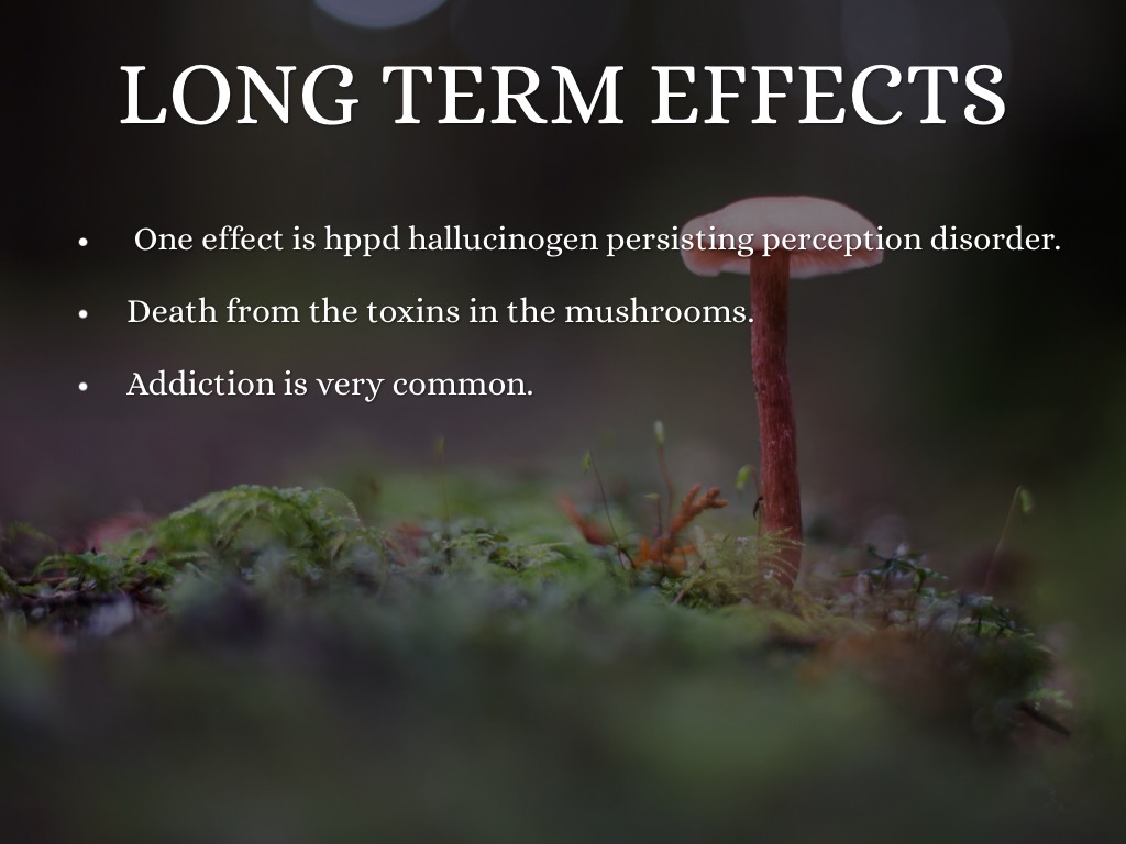 Эффект машрумс. Psilocybin Magic Mushroom. Psilocybin Mushroom Side Effects. Psychedelic Mushrooms Side Effects. Effect terms