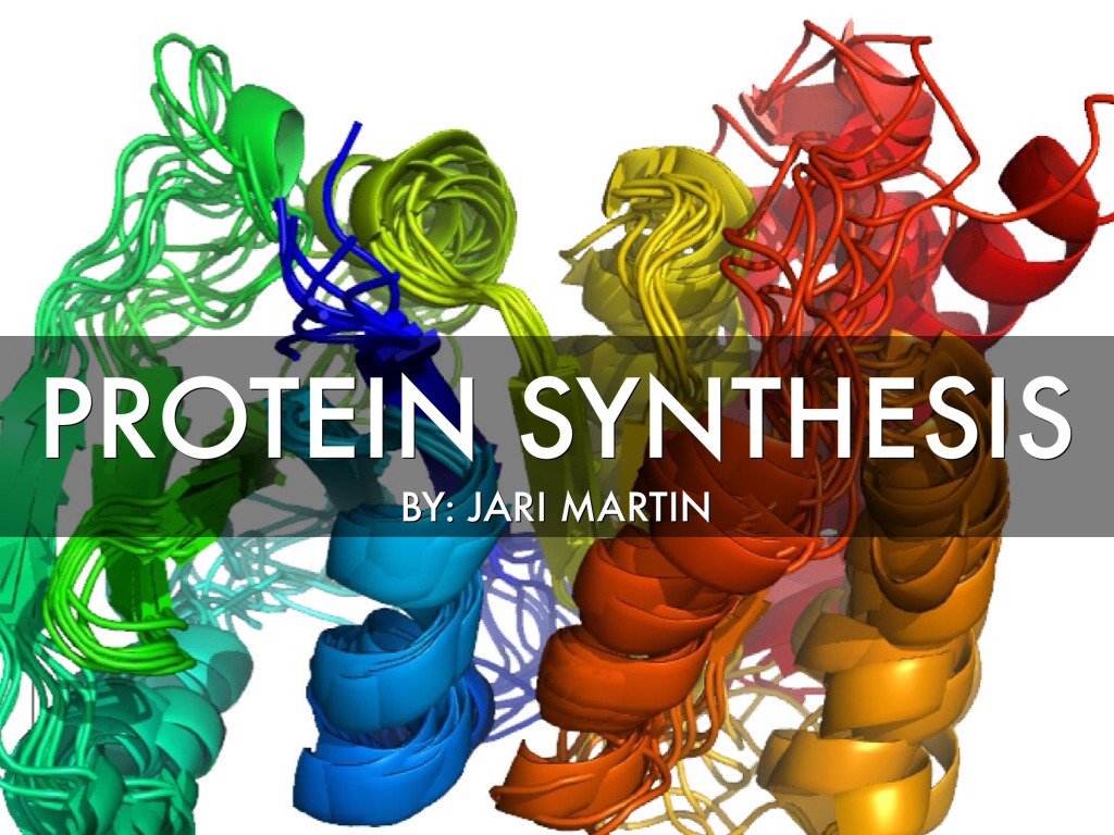 Protein Synthesis by Jari Martin