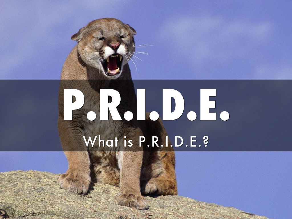 P.R.I.D.E. by Julian Wilson