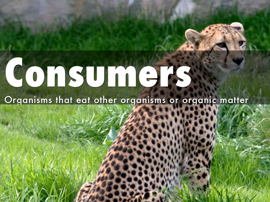 Science Definitions 2 by fbasirico21