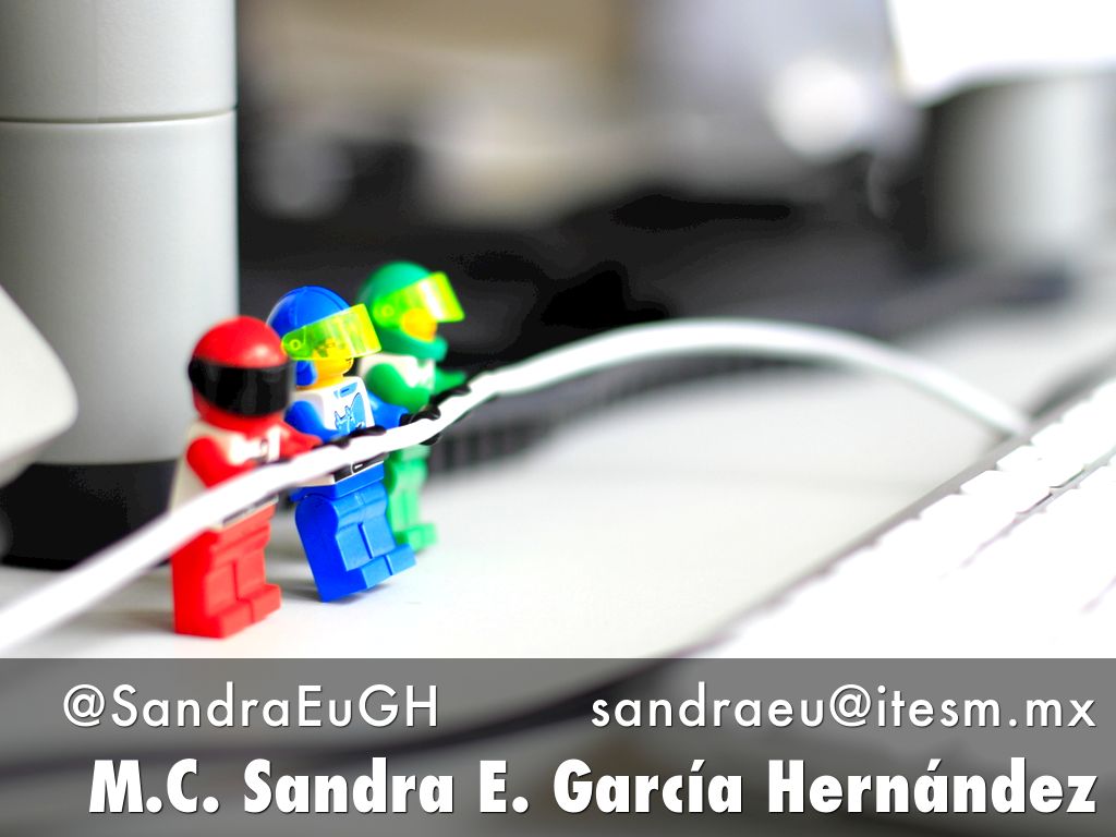 M.C. Sandra E. García Hernández