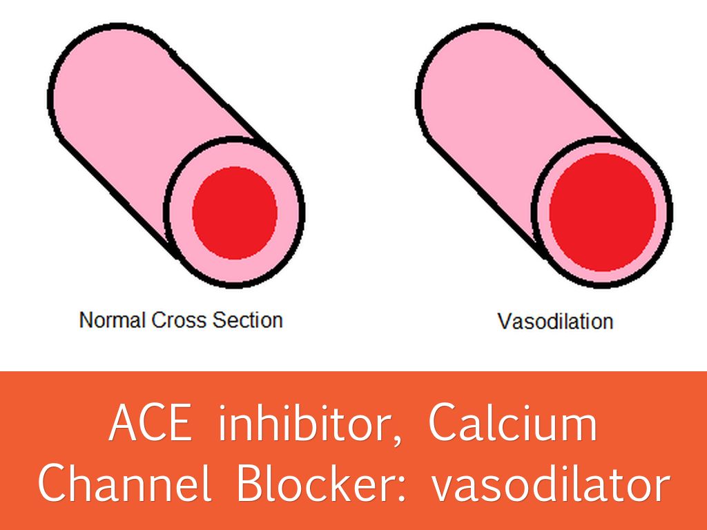 cardiac medication by goodman