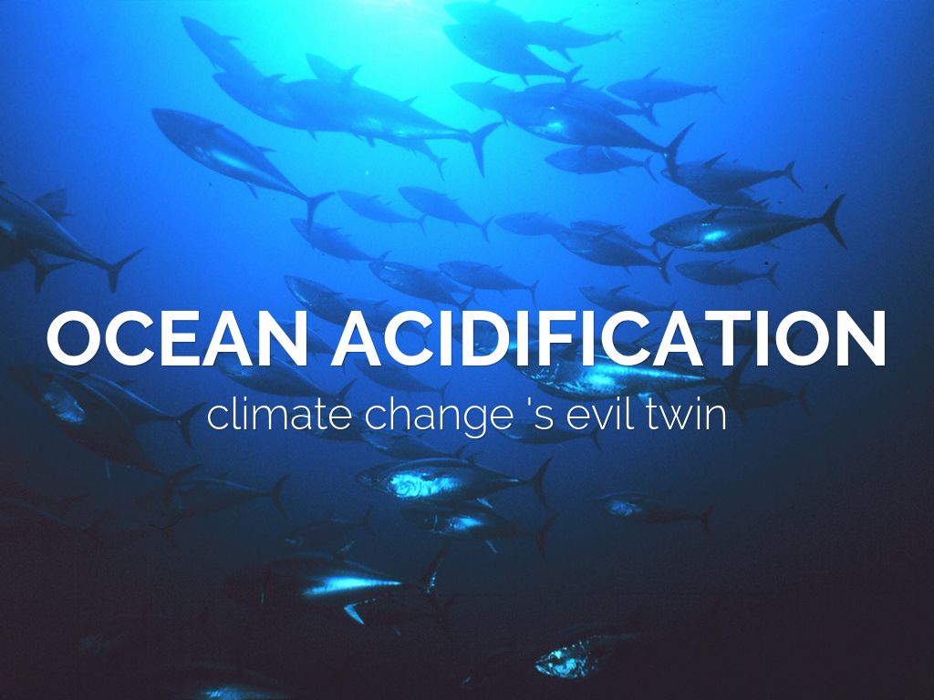 Ocean Acidification