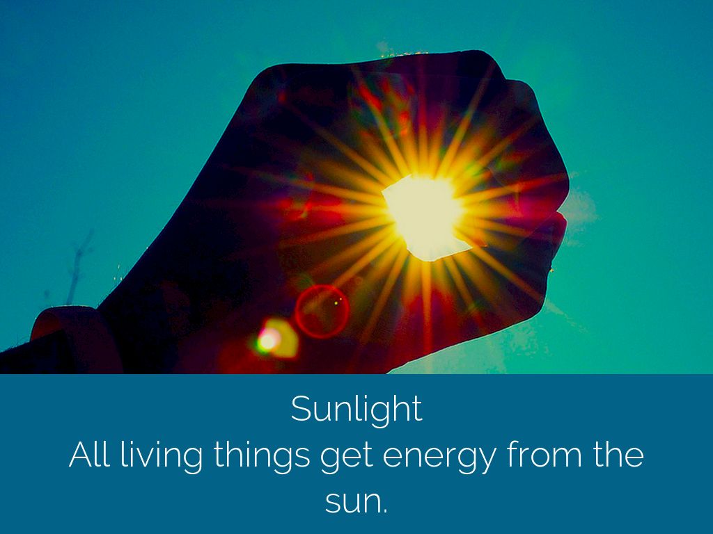 Living Things by mgarci22