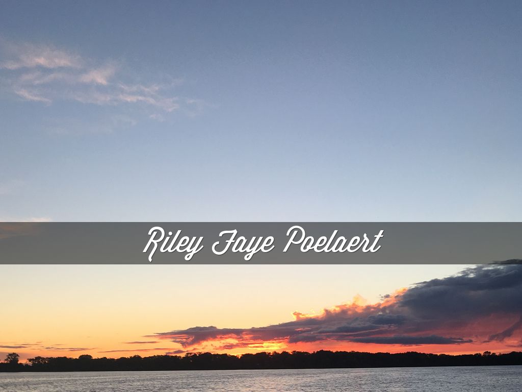 Copy of All About Me