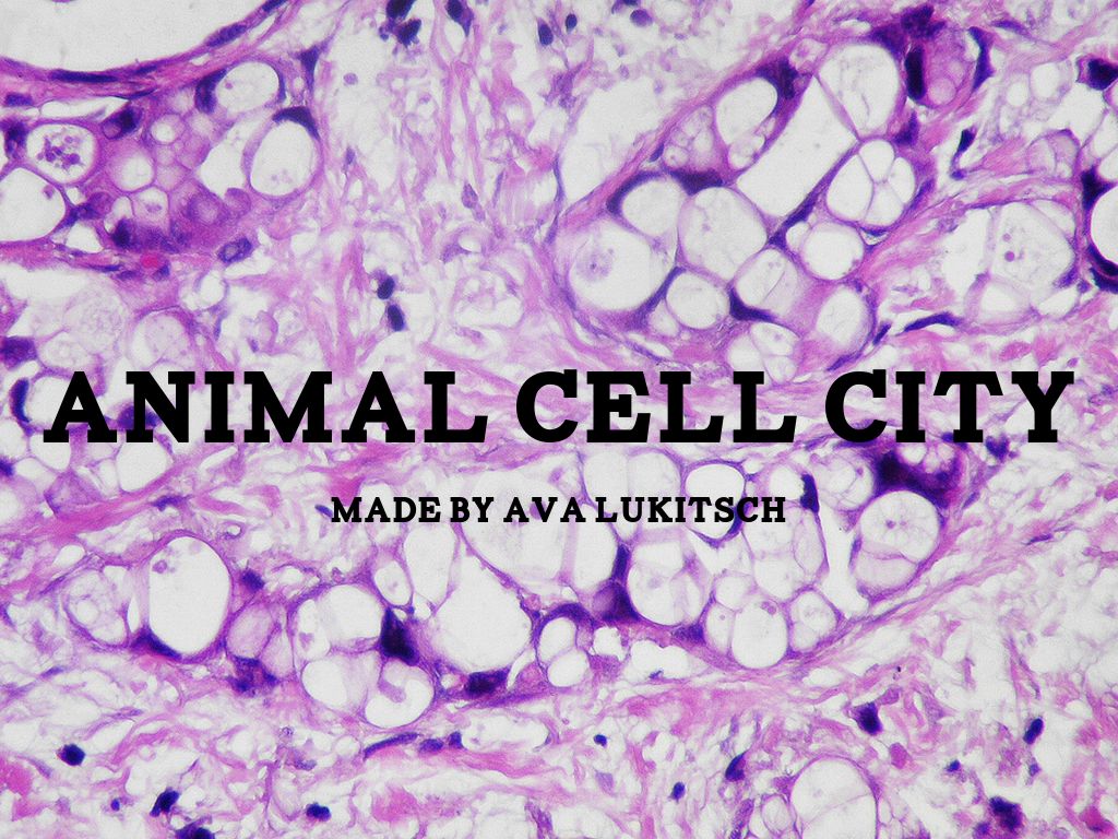 Cell City
