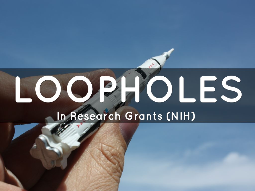 LoopHoles by Sandra Teng