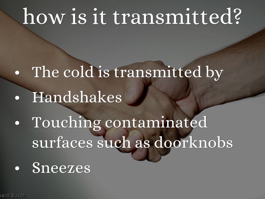 The Cold by gallardogiovanni2