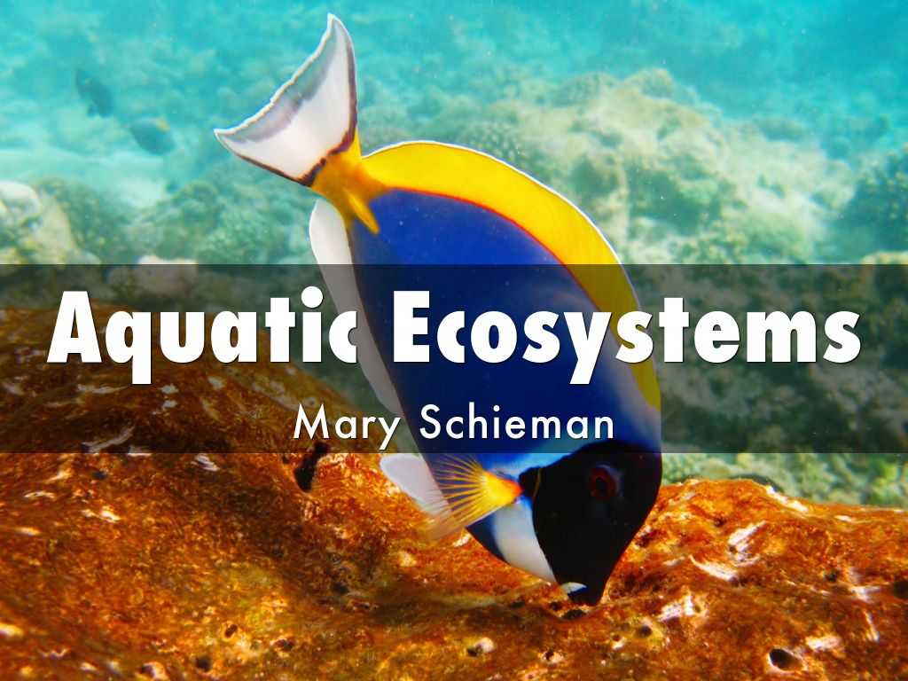Aquatic Ecosystems