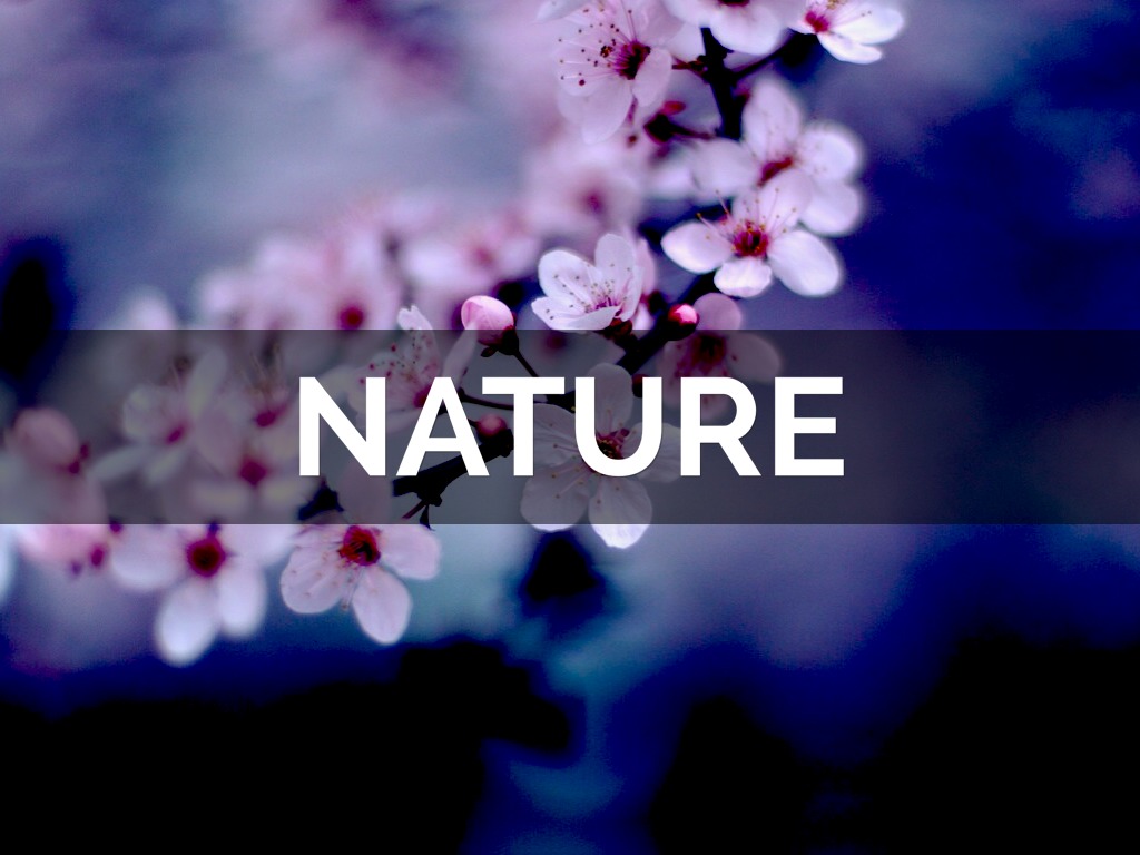 Nature
