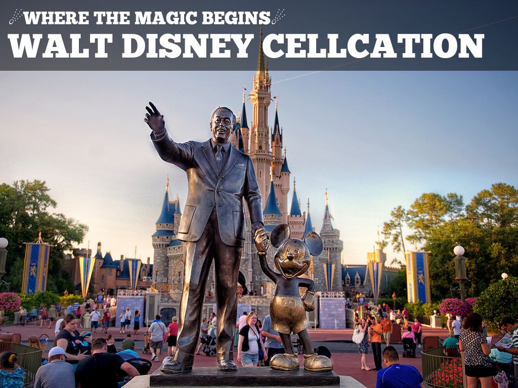 The Science Homework