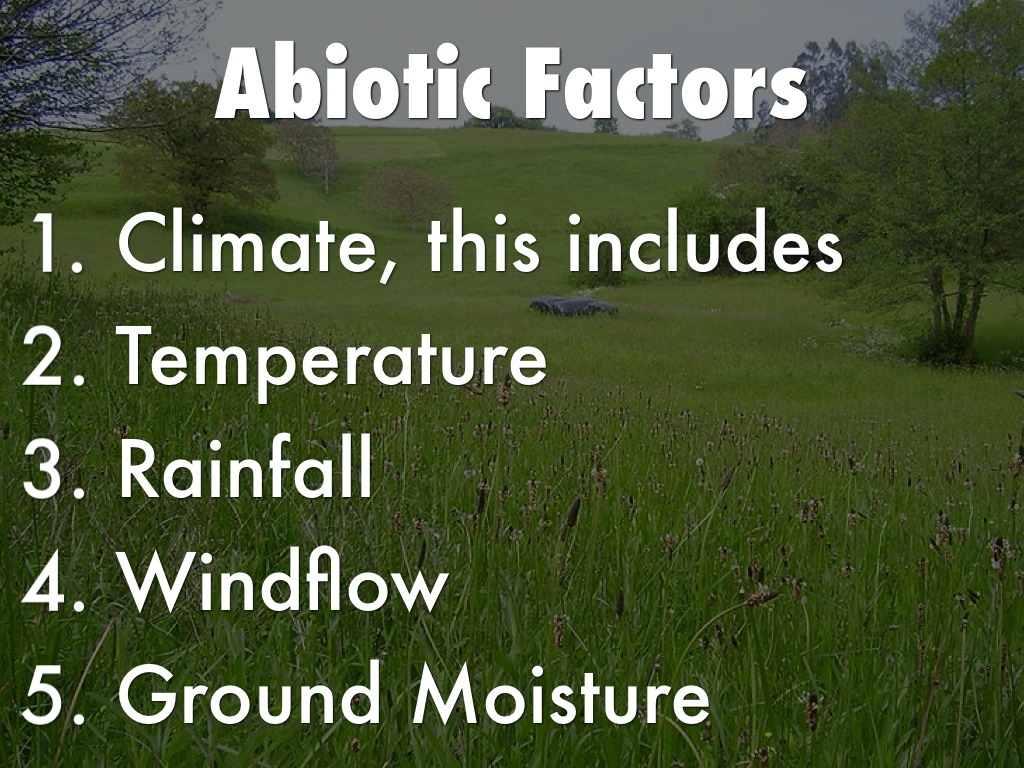 Climate factors. Abiotic Factors.