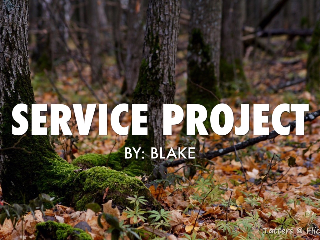Service Project