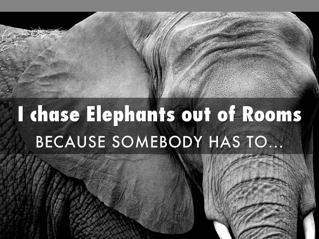 Copy of I chase Elephants out of Rooms