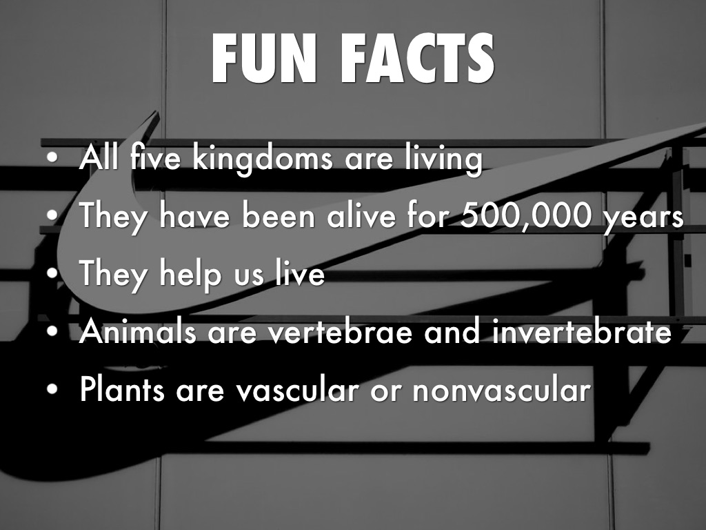 The 5 Kingdoms by Jennifer Austin