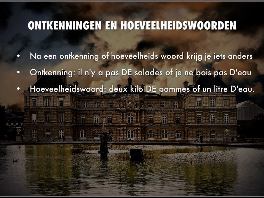 Delend Lidwoord by Eva van Tongeren