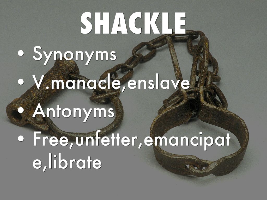 vocab14 by Raymond Meng