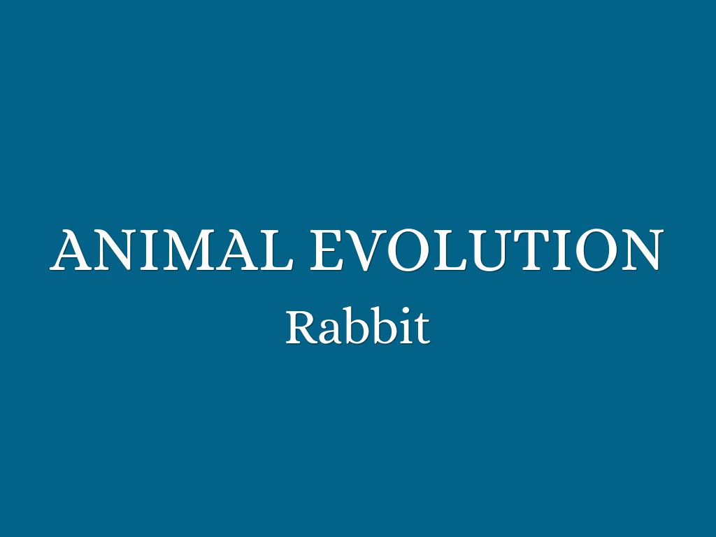 prehistoric Rabbits 
