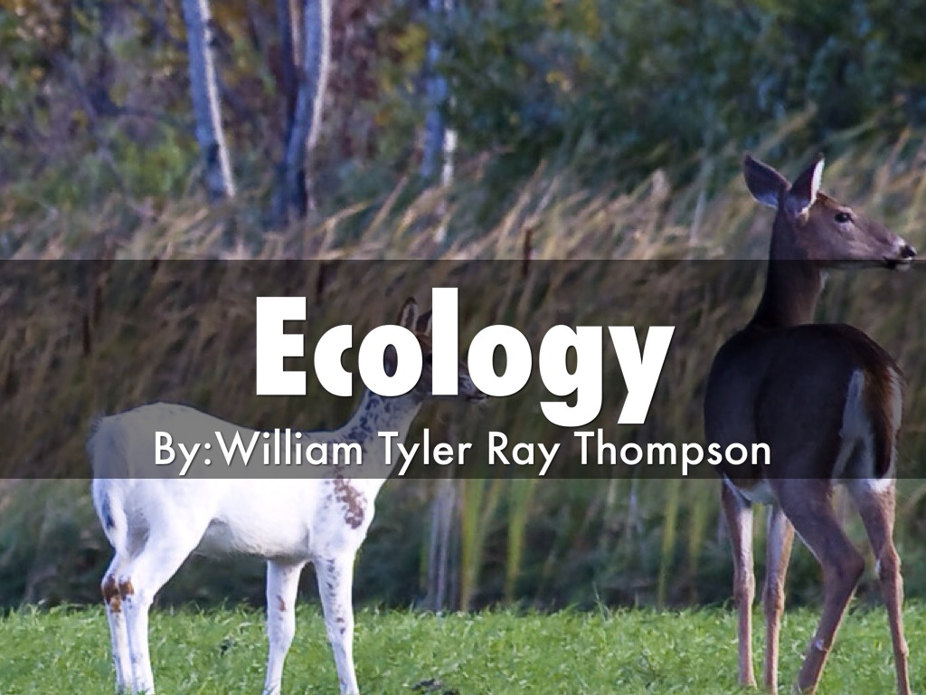 Ecology