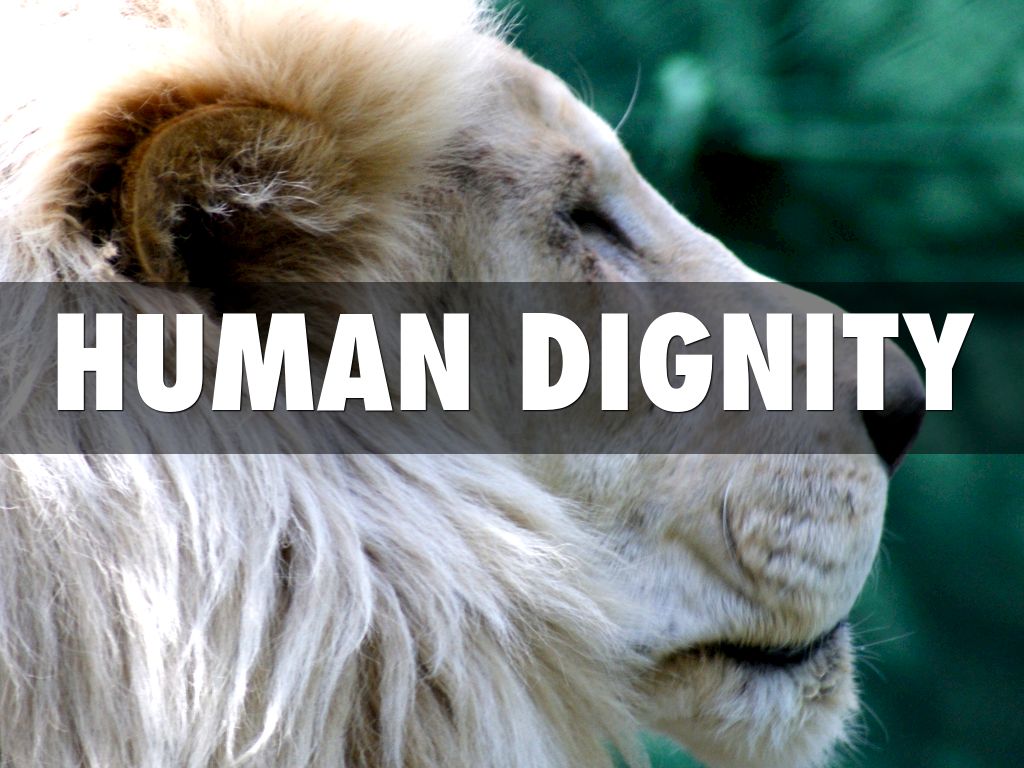Human Dignity😜