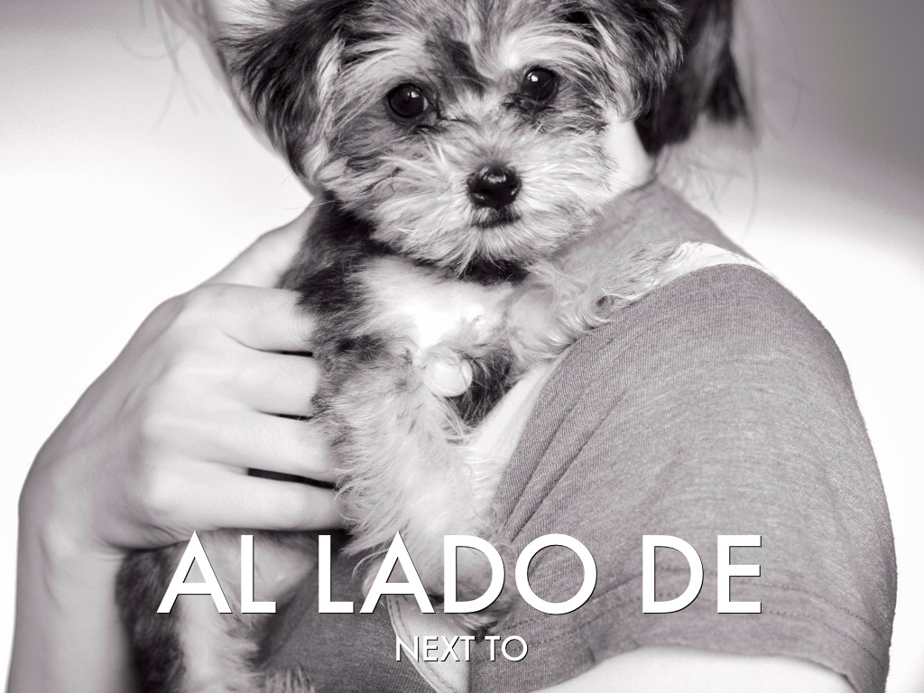 Location Prepositions 