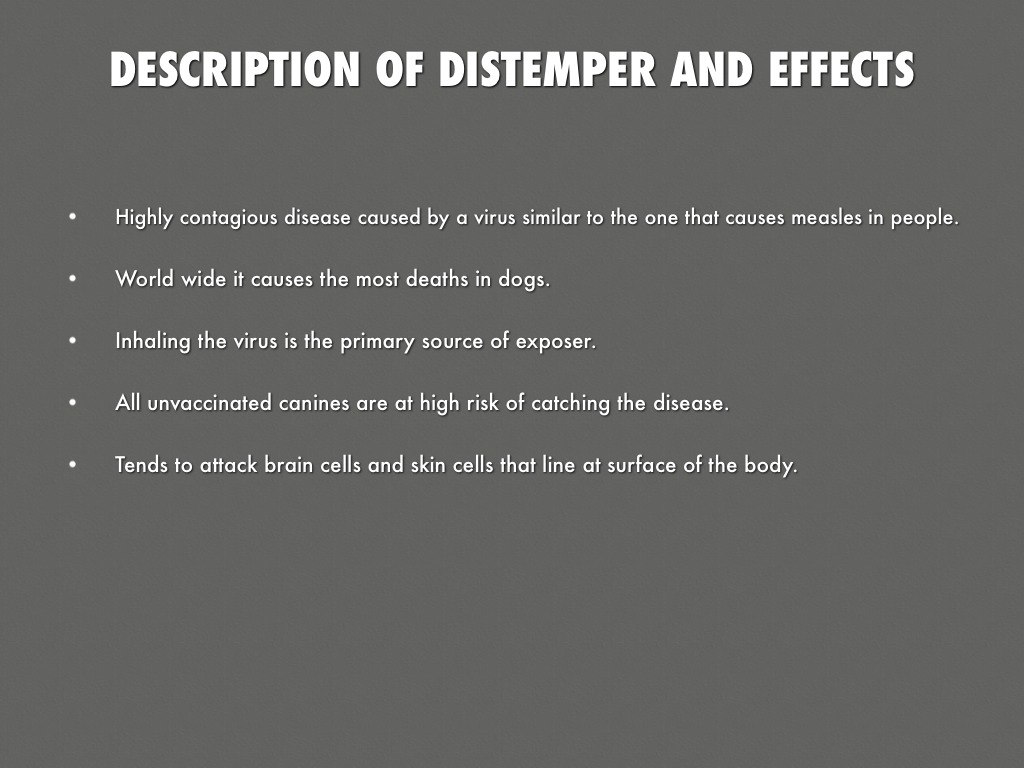 Distemper by Holly Turner