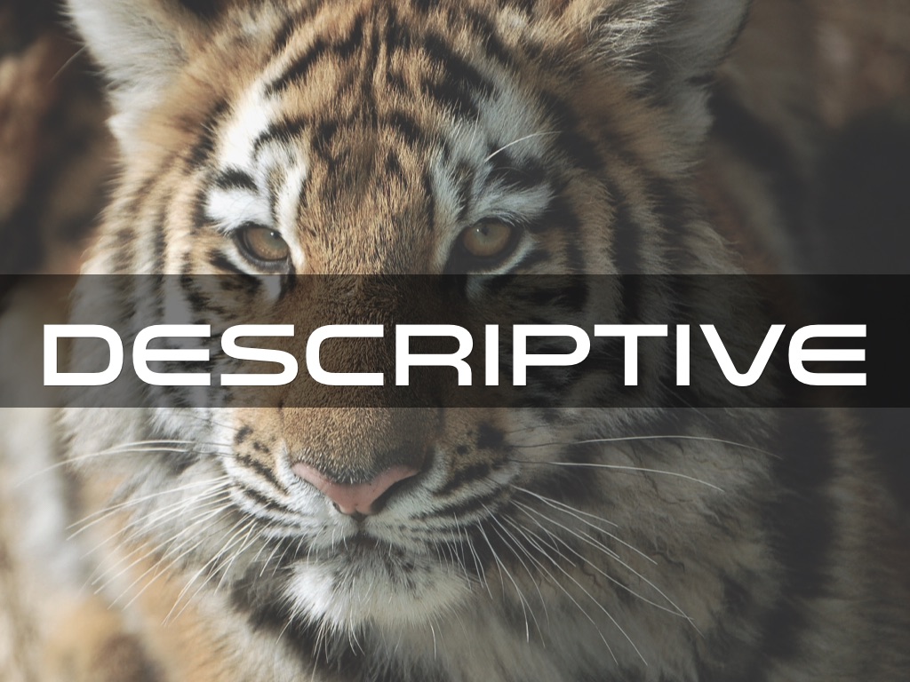 Descriptive