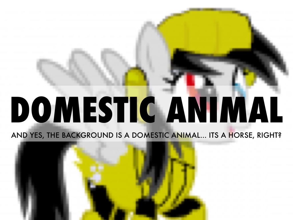 Science Vocab Thingy..