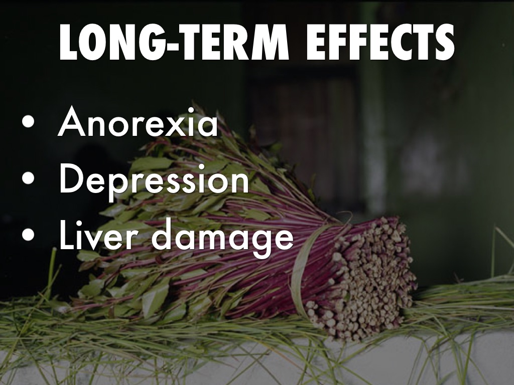 Khat by Joey & Jacob