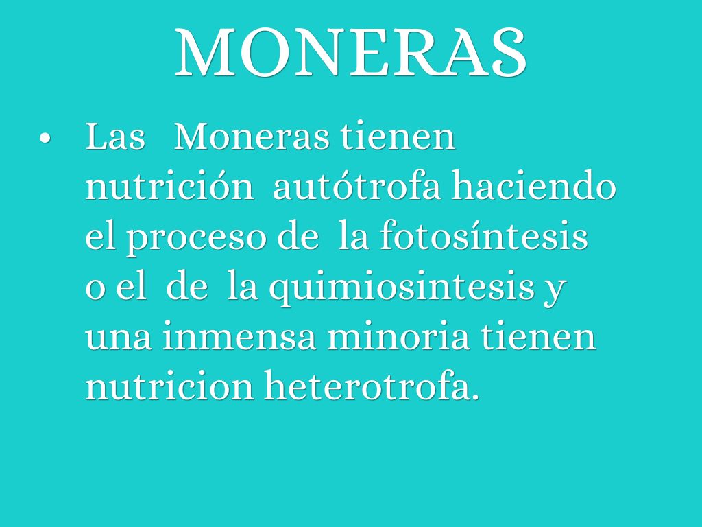 NUTRICIÓN by alvaromora2345