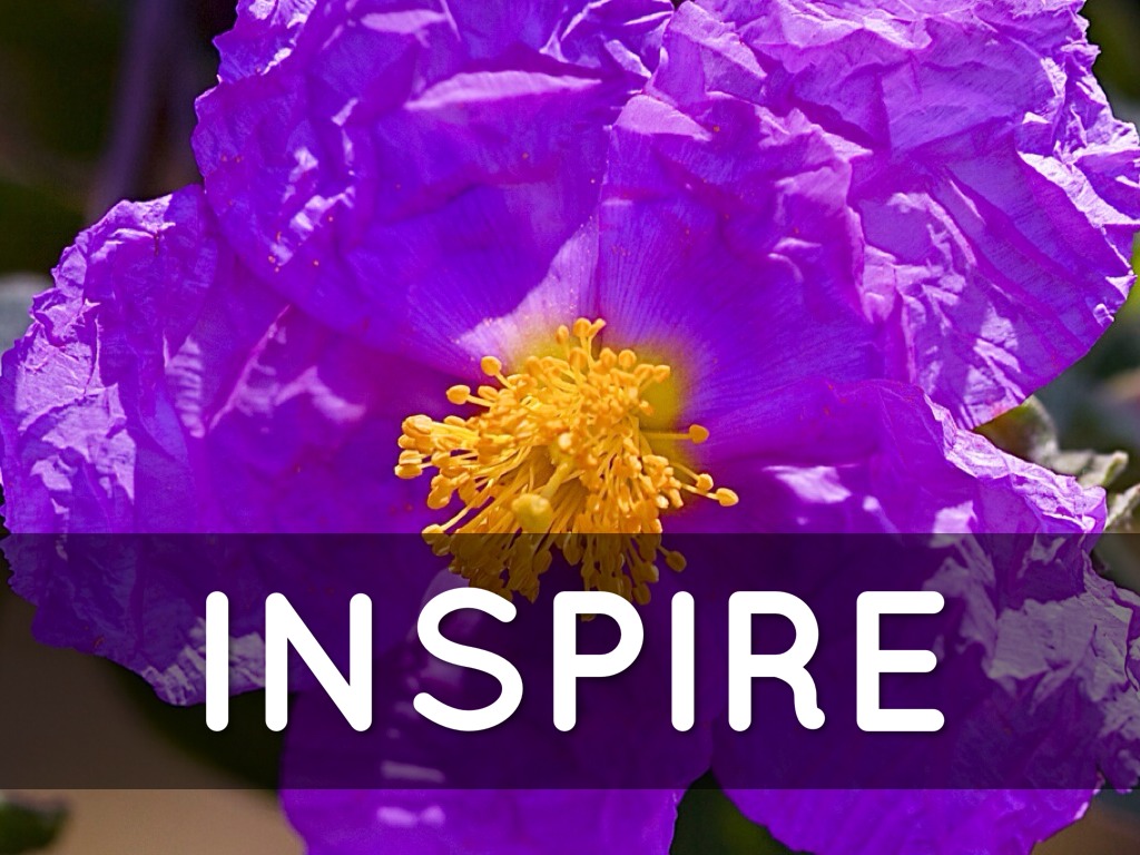 Copy of Haiku Deck In Action