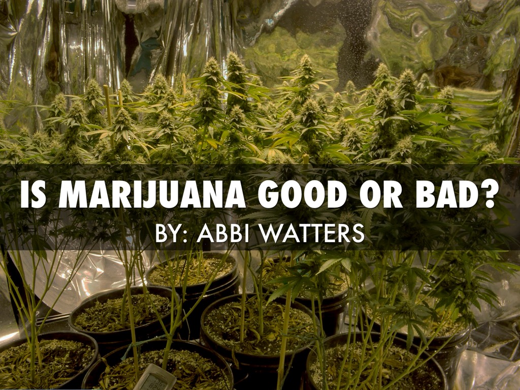 Is Marijuana Good Or Bad?