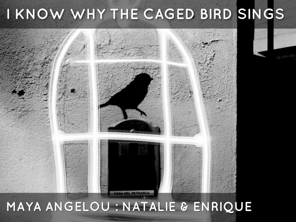 i know why thw caged bird i know why thw caged bird
