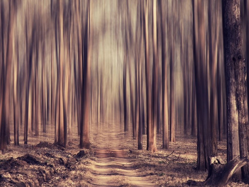 English Visual Essay