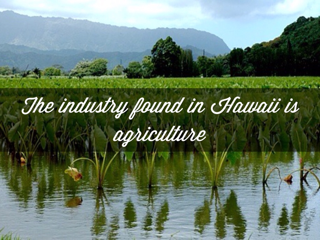 Hawaii by Kylie ) by Victoria Cardenas