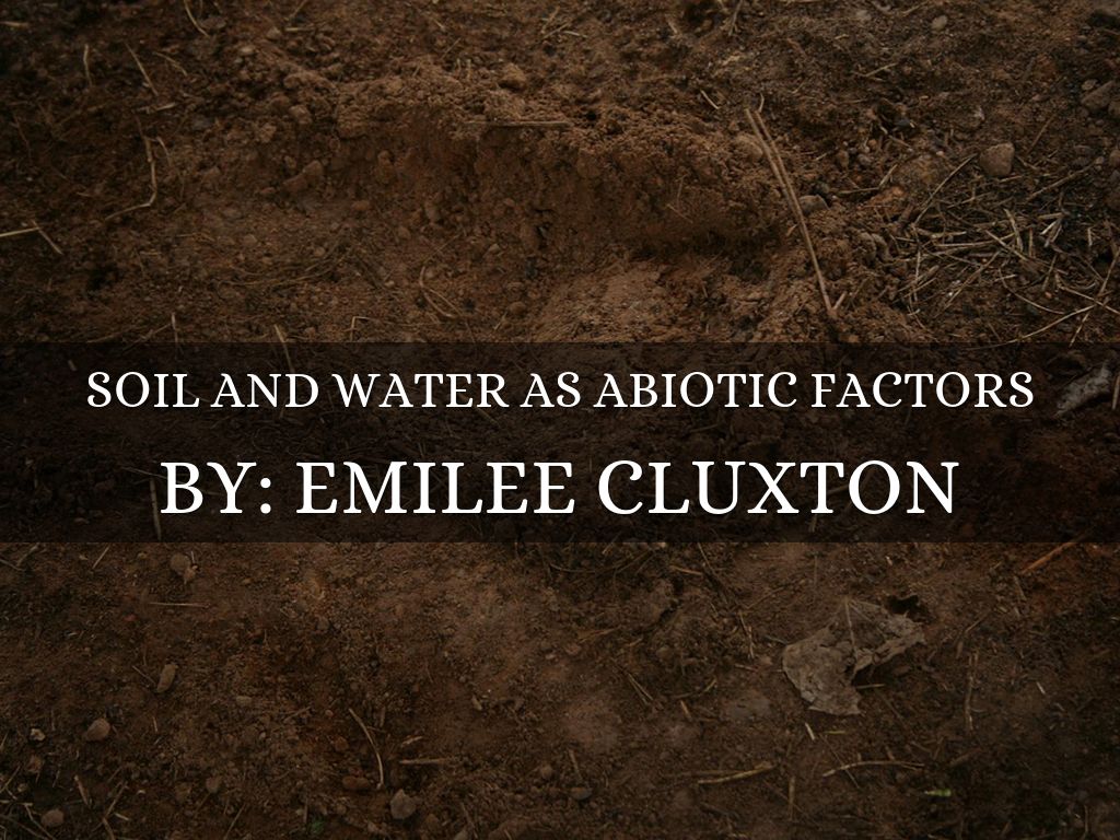 Soil and Water as Abiotic Factors