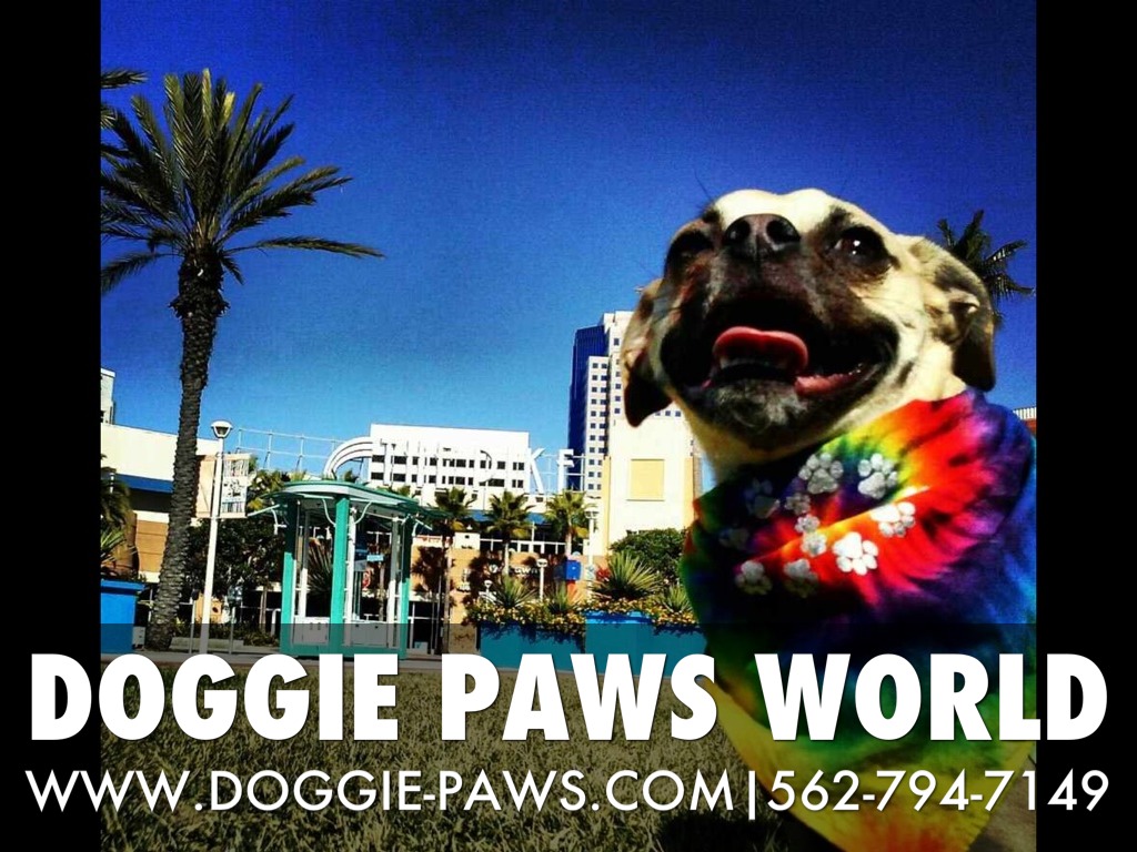 DOGGIE PAWS WORLD 